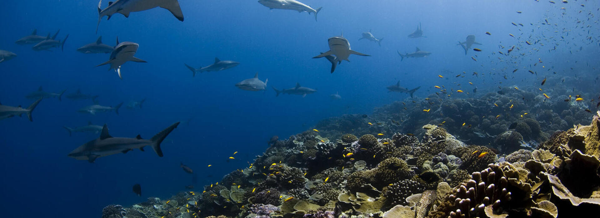 Marine protected areas